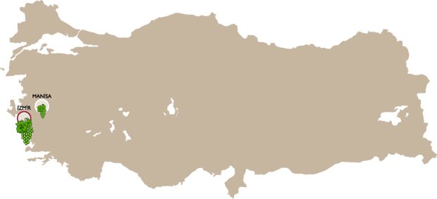 bornova_h