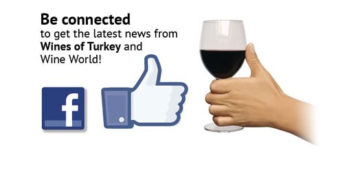 faceb