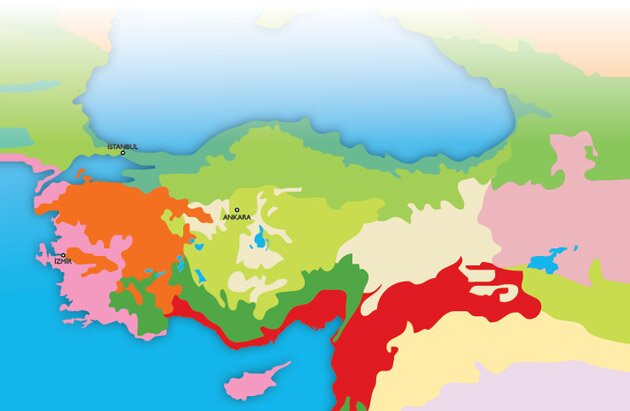 Biodiversity